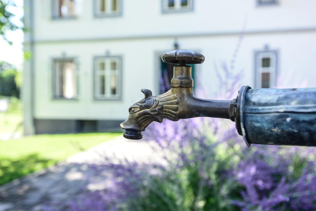 Ferienwohntraum Haller Nötsch Exteriör bild